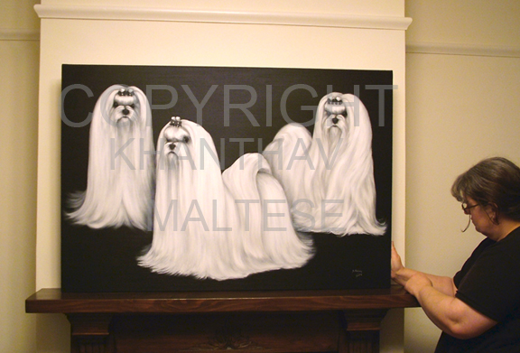 THREE MALTESE