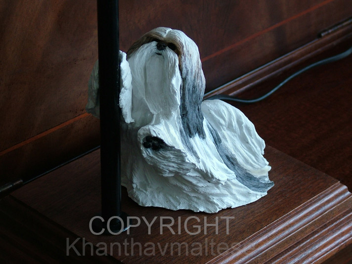 LAMP